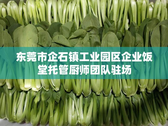 东莞市企石镇工业园区企业饭堂托管厨师团队驻场