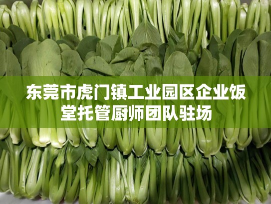 东莞市虎门镇工业园区企业饭堂托管厨师团队驻场