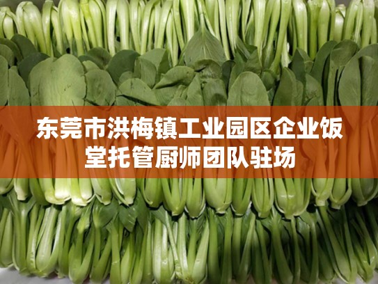 东莞市洪梅镇工业园区企业饭堂托管厨师团队驻场