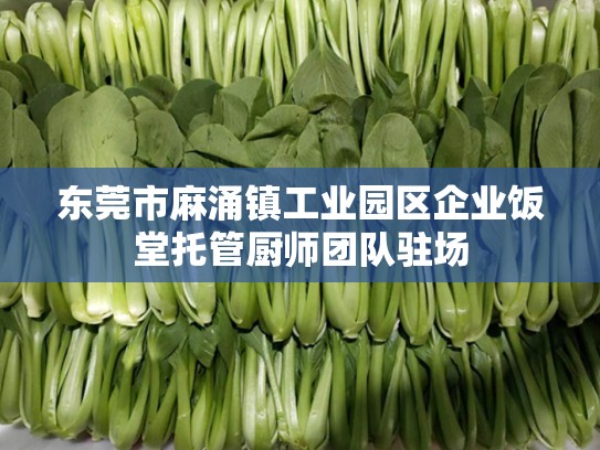 东莞市麻涌镇工业园区企业饭堂托管厨师团队驻场