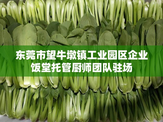 东莞市望牛墩镇工业园区企业饭堂托管厨师团队驻场