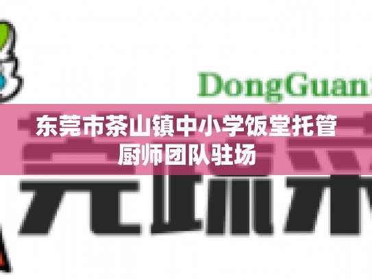 东莞市茶山镇中小学饭堂托管厨师团队驻场