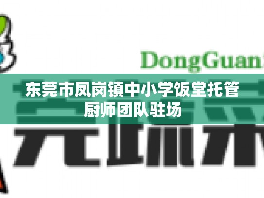 东莞市凤岗镇中小学饭堂托管厨师团队驻场