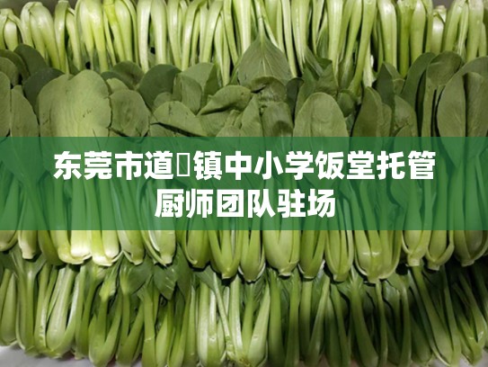 东莞市道滘镇中小学饭堂托管厨师团队驻场