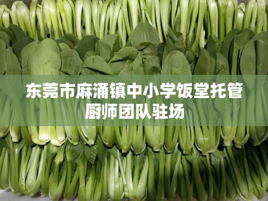 东莞市麻涌镇中小学饭堂托管厨师团队驻场