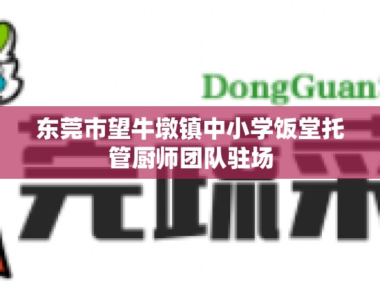 东莞市望牛墩镇中小学饭堂托管厨师团队驻场
