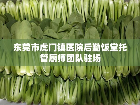 东莞市虎门镇医院后勤饭堂托管厨师团队驻场