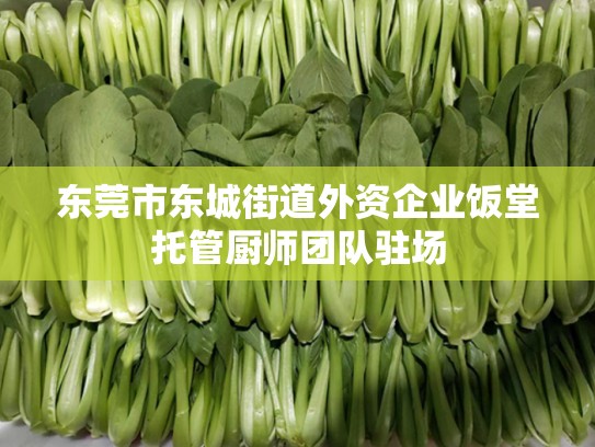 东莞市东城街道外资企业饭堂托管厨师团队驻场