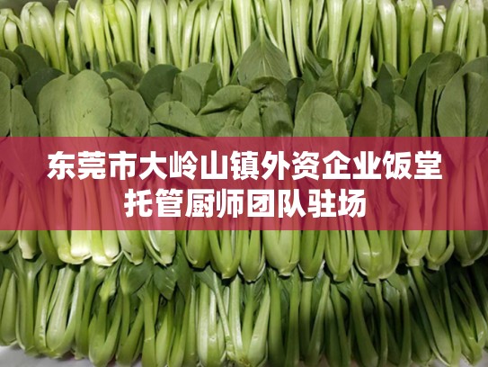 东莞市大岭山镇外资企业饭堂托管厨师团队驻场