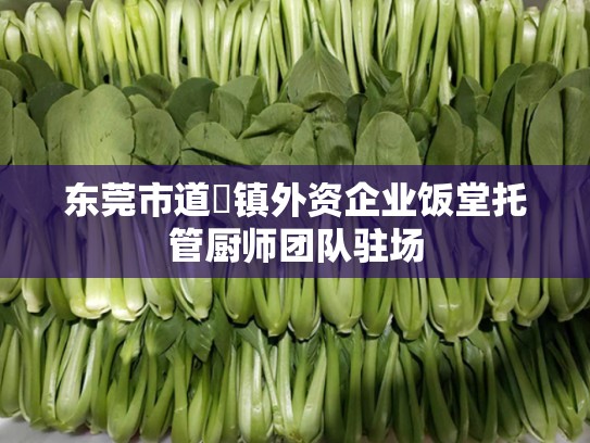 东莞市道滘镇外资企业饭堂托管厨师团队驻场