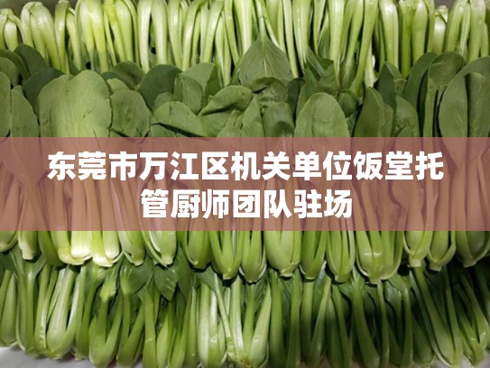 东莞市万江区机关单位饭堂托管厨师团队驻场