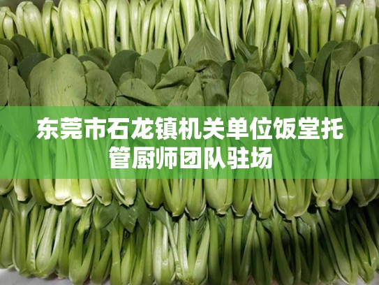 东莞市石龙镇机关单位饭堂托管厨师团队驻场
