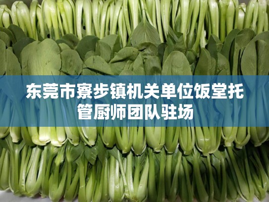 东莞市寮步镇机关单位饭堂托管厨师团队驻场