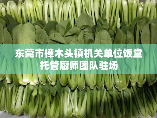 东莞市樟木头镇机关单位饭堂托管厨师团队驻场