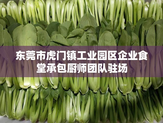 东莞市虎门镇工业园区企业食堂承包厨师团队驻场