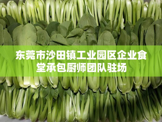 东莞市沙田镇工业园区企业食堂承包厨师团队驻场