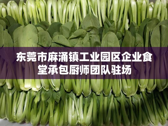 东莞市麻涌镇工业园区企业食堂承包厨师团队驻场
