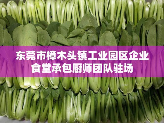 东莞市樟木头镇工业园区企业食堂承包厨师团队驻场