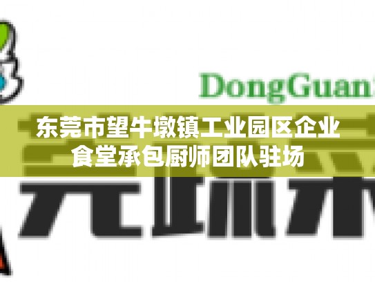 东莞市望牛墩镇工业园区企业食堂承包厨师团队驻场