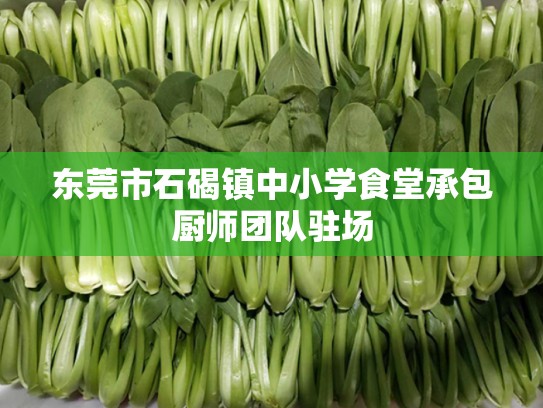 东莞市石碣镇中小学食堂承包厨师团队驻场
