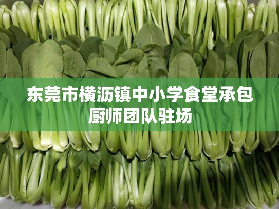 东莞市横沥镇中小学食堂承包厨师团队驻场