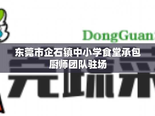 东莞市企石镇中小学食堂承包厨师团队驻场