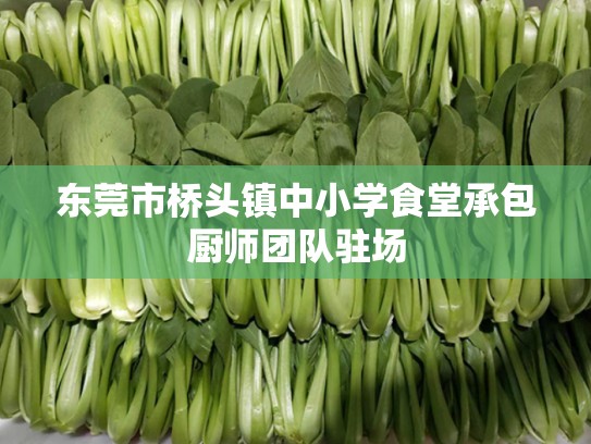 东莞市桥头镇中小学食堂承包厨师团队驻场