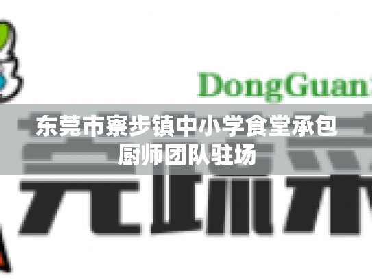 东莞市寮步镇中小学食堂承包厨师团队驻场