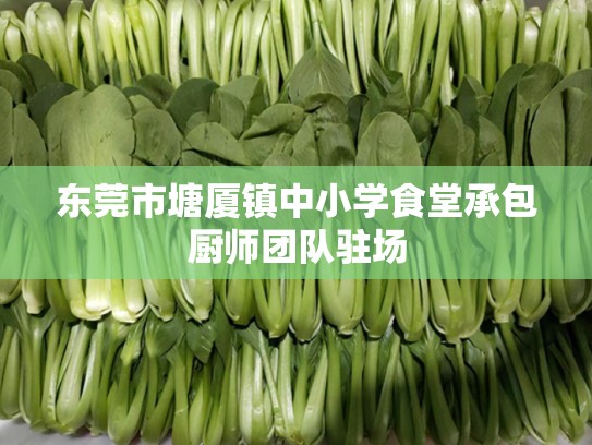 东莞市塘厦镇中小学食堂承包厨师团队驻场