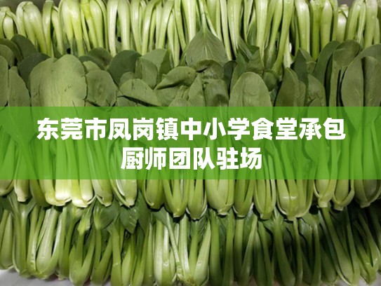 东莞市凤岗镇中小学食堂承包厨师团队驻场