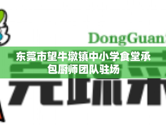 东莞市望牛墩镇中小学食堂承包厨师团队驻场