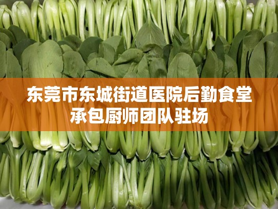 东莞市东城街道医院后勤食堂承包厨师团队驻场