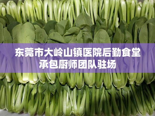 东莞市大岭山镇医院后勤食堂承包厨师团队驻场