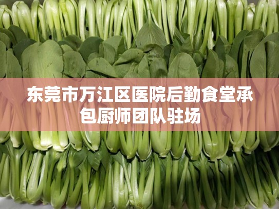 东莞市万江区医院后勤食堂承包厨师团队驻场