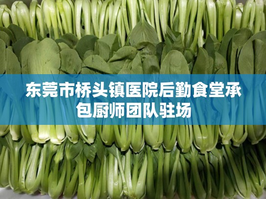 东莞市桥头镇医院后勤食堂承包厨师团队驻场