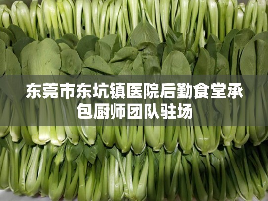 东莞市东坑镇医院后勤食堂承包厨师团队驻场
