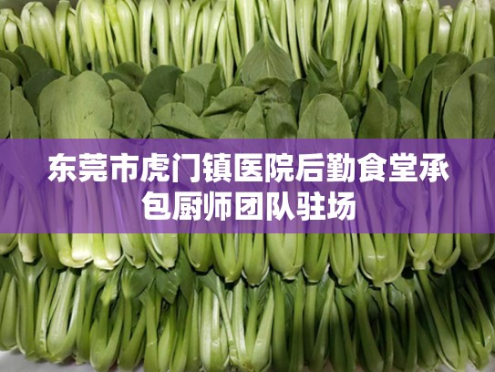 东莞市虎门镇医院后勤食堂承包厨师团队驻场