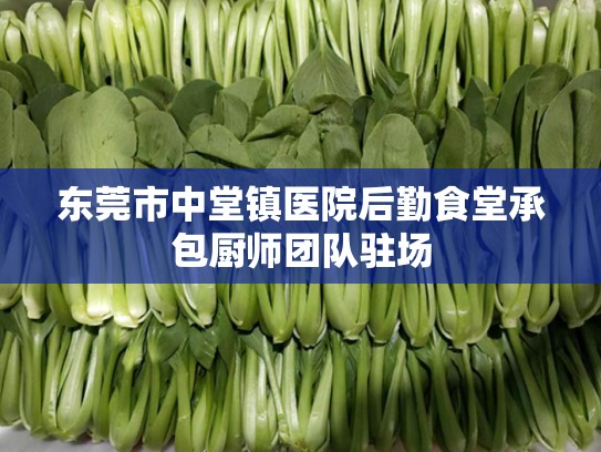 东莞市中堂镇医院后勤食堂承包厨师团队驻场