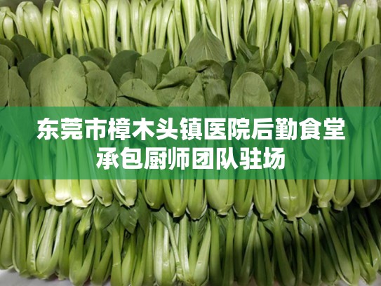 东莞市樟木头镇医院后勤食堂承包厨师团队驻场