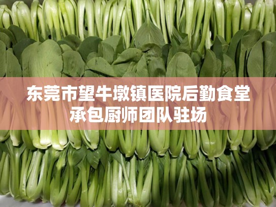 东莞市望牛墩镇医院后勤食堂承包厨师团队驻场