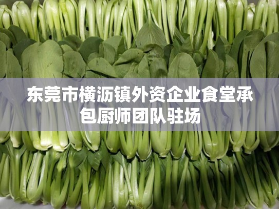东莞市横沥镇外资企业食堂承包厨师团队驻场