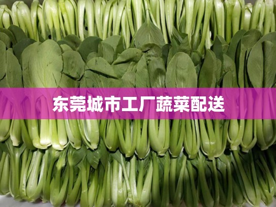 东莞城市工厂蔬菜配送