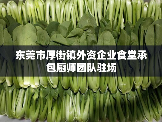 东莞市厚街镇外资企业食堂承包厨师团队驻场
