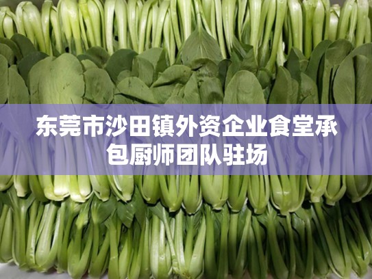 东莞市沙田镇外资企业食堂承包厨师团队驻场