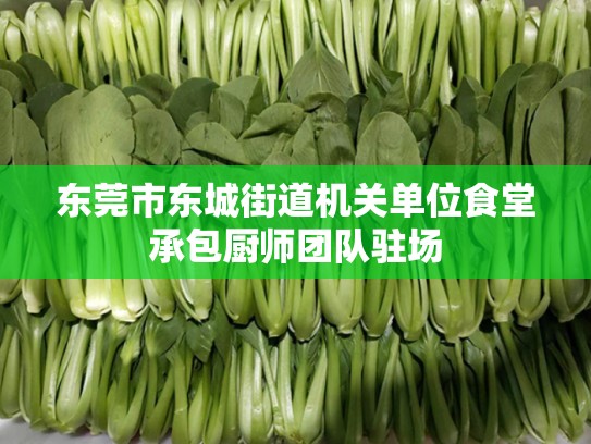 东莞市东城街道机关单位食堂承包厨师团队驻场