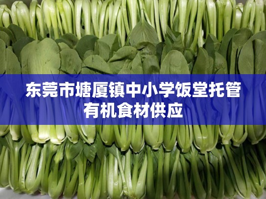 东莞市塘厦镇中小学饭堂托管有机食材供应