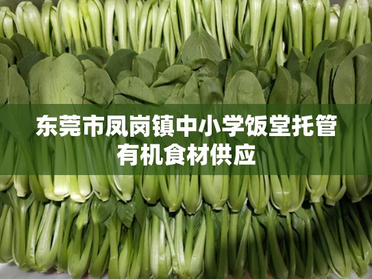 东莞市凤岗镇中小学饭堂托管有机食材供应