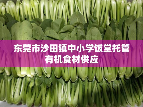 东莞市沙田镇中小学饭堂托管有机食材供应