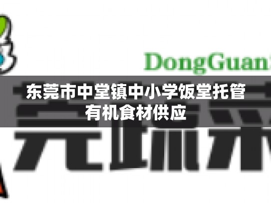 东莞市中堂镇中小学饭堂托管有机食材供应