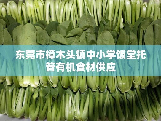 东莞市樟木头镇中小学饭堂托管有机食材供应